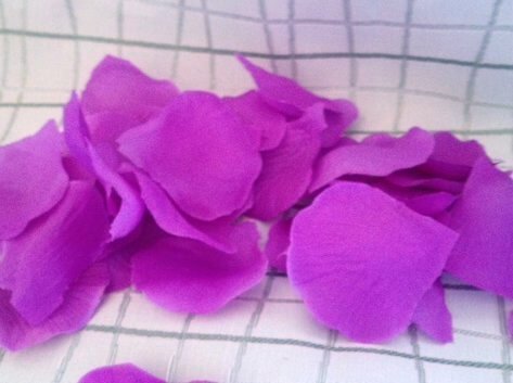 100 Rosenblätter lila
